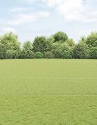 vidaXL Шестоъградно ограждение с кол 25 x 15 m Поцинкована стомана