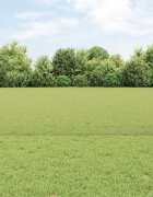 vidaXL Шестоъградно ограждение с кол 50 x 06 м ПВЦ-обработена стомана