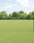 vidaXL Шестоъградно ограждение с кол 50 x 1 m ПВЦ-обработена стомана