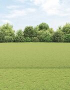 vidaXL Шестоъградно ограждение с кол 50 x 16 m ПВЦ-обработена стомана