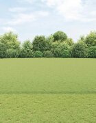 vidaXL Шестоъградно ограждение с кол 50 x 16 m ПВЦ-обработена стомана