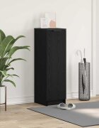 vidaXL Шкаф за обувки с рафт с врата Черния дъб 295 x 35 x 101 см