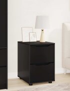 vidaXL Шкаф за съхранение 40 x 48 x 57 см Инженерна дървесина Черно