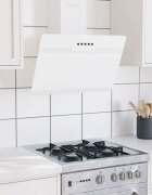vidaXL Стенен абсорбатор 60 см стомана и закалено стъкло бял
