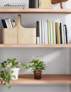 vidaXL Стенен рафт светлокафяв 80x50x(2-4) см обработен масивен дъб