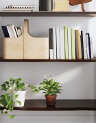 vidaXL Стенен рафт тъмнокафяв 100x60x2 см обработен масивен дъб