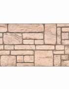 vidaXL Стенни панели 10 бр. 100 x 50 cm Бежово EPS пяна