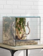 vidaXL Терариум със съхранение Прозрачен 30 x 30 x 30 cm Стъкло