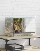 vidaXL Терариум със съхранение Прозрачен 40 x 30 x 30 см Стъкло