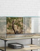 vidaXL Терариум със съхранение Прозрачен 80 x 40 x 40 cm Стъкло