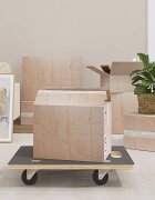 vidaXL Транспортни колички 2 бр правоъгълни 60x40x115 см 250 кг