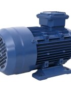vidaXL Трифазен електромотор алуминий 22kW/3HP 2 полюса 2840 об/мин