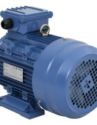 vidaXL Трифазен електромотор алуминий 4kW/55HP 2 полюса 2840 об/мин