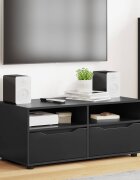 vidaXL ТВ шкаф 100 x 48 x 43 см Черно Инженерна дървесина