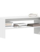 vidaXL ТВ шкаф бял 100x40x40 см ПДЧ