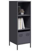 vidaXL Висок шкаф антрацит 35x39x1035 см стомана