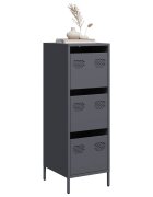 vidaXL Висок шкаф антрацит 39x35x1035 см стомана