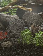 vidaXL Вулканични камъни 10 кг черни 10-30 см