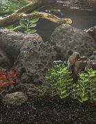 vidaXL Вулканични камъни 25 кг черни 10-30 см