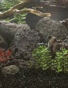 vidaXL Вулканични камъни 25 кг черни 10-30 см