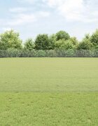 vidaXL Заварена телена ограда с колове 10 x 1 m Поцинкована стомана