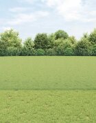 vidaXL Заварена телена ограда с колове 10 x 1 m Поцинкована стомана