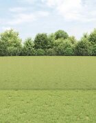 vidaXL Заварена телена ограда с колове 10 x 1 m Поцинкована стомана