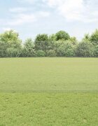 vidaXL Заварена телена ограда с колове 10 x 12 м Поцинкована стомана