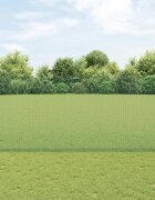 vidaXL Заварена телена ограда с колове 10 x 14 м Зелено Мрежа