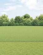 vidaXL Заварена телена ограда с колове 10 x 16 m Зелено Мрежа