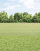 vidaXL Заварена телена ограда с колове 100 x 06 м Поцинкована стомана