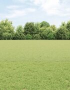 vidaXL Заварена телена ограда с колове 100 x 06 м Поцинкована стомана