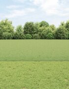 vidaXL Заварена телена ограда с колове 100 x 06 м Зелено Мрежа