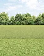 vidaXL Заварена телена ограда с колове 25 x 05 m Поцинкована стомана