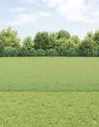 vidaXL Заварена телена ограда с колове 25 x 08 m Зелено Мрежа