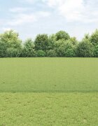 vidaXL Заварена телена ограда с колове 50 x 12 m Зелено Мрежа