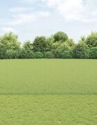 vidaXL Заварена телена ограда с колове 50 x 14 м Зелено Мрежа