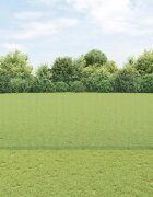vidaXL Заварена телена ограда с колове 50 x 14 м Зелено Мрежа