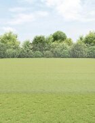 vidaXL Заварена телена ограда с колове 50 x 15 m Поцинкована стомана