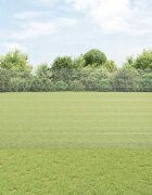 vidaXL Заварена телена ограда с колове 50 x 15 m Поцинкована стомана