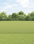 vidaXL Заварена телена ограда с колове 50 x 15 m Сиво Мрежа