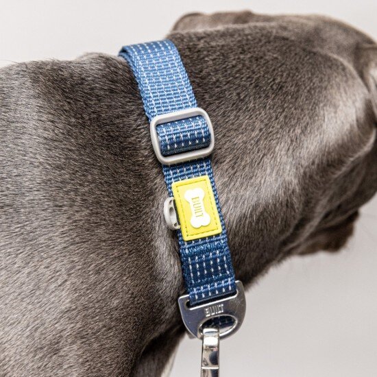 Built Светлоотразителен нашийник за куче голям размер син - Pet