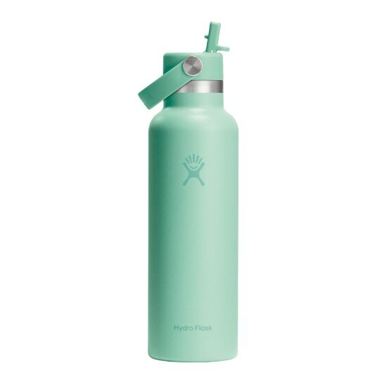 Hydro Flask Термоизолационна бутилка неръждаема стомана 620 мл "Standard Straw"