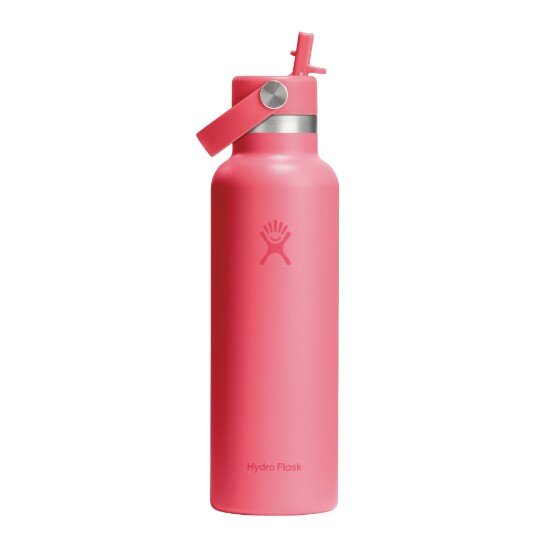Hydro Flask Термоизолирана бутилка неръждаема стомана 620 ml "Standard Straw"