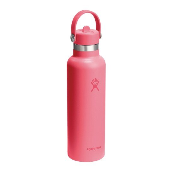 Hydro Flask Термоизолирана бутилка неръждаема стомана 620 ml "Standard Straw"
