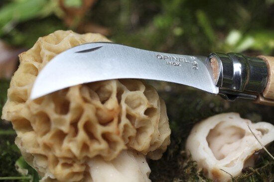 Opinel N°08 Нож за гъби неръждаема стомана 8 см -
