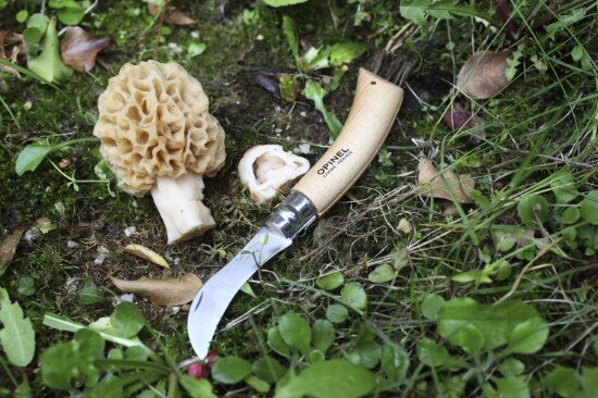 Opinel N°08 Нож за гъби неръждаема стомана 8 см -