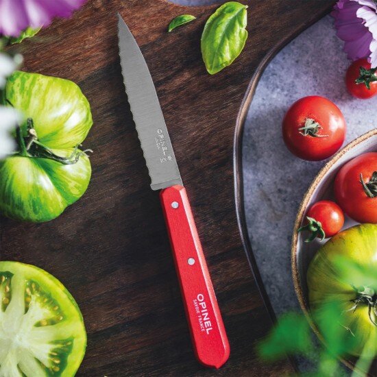 Opinel Нож с назъбено острие N°113 неръждаема стомана 10 см "Les Essentiel