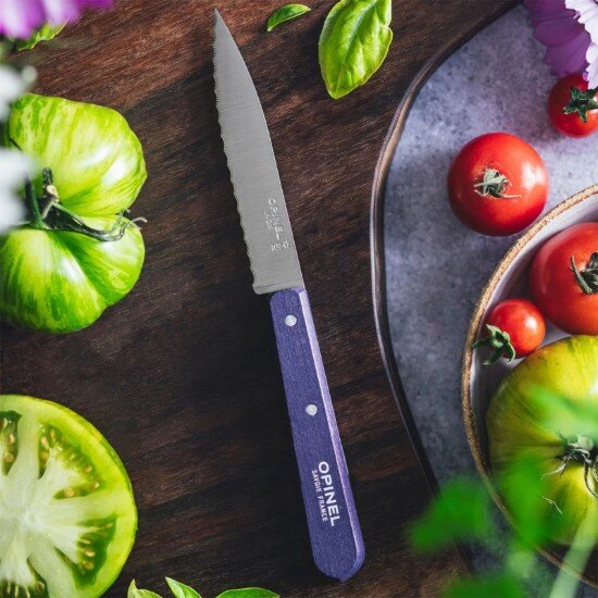 Opinel Нож с назъбено острие N°113 неръждаема стомана 10 см "Les Essentiel