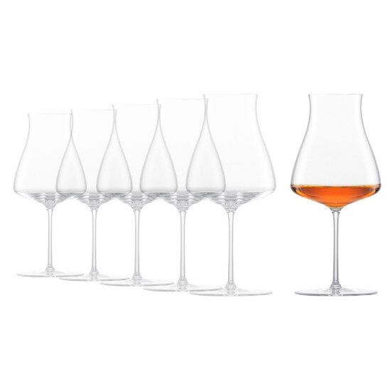 Schott Zwiesel Комплект чаши за уиски от 6 части кристално стъкло 292 мл "Classics